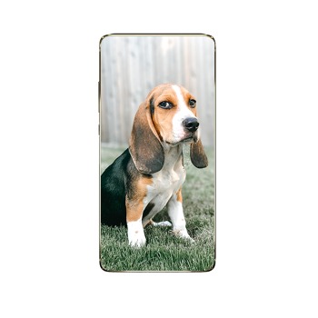 Obal pro mobil Samsung Galaxy A8+ (2018)