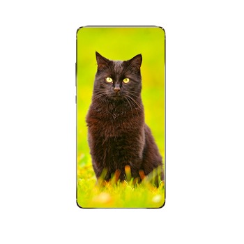 Obal na telefon - Zelenooká kočka