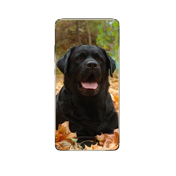 Ochranný kryt na telefon - Černý pes