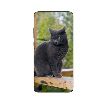 Zadní kryt pro mobil telefon - Popelavá kočka