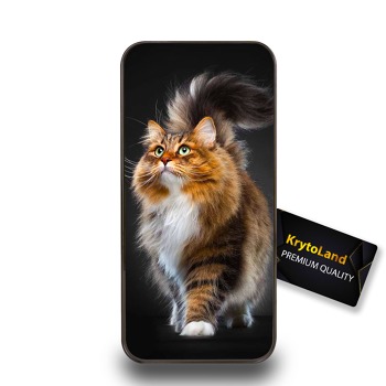 Premium obal pro mobil Samsung Galaxy J6+ (2018)